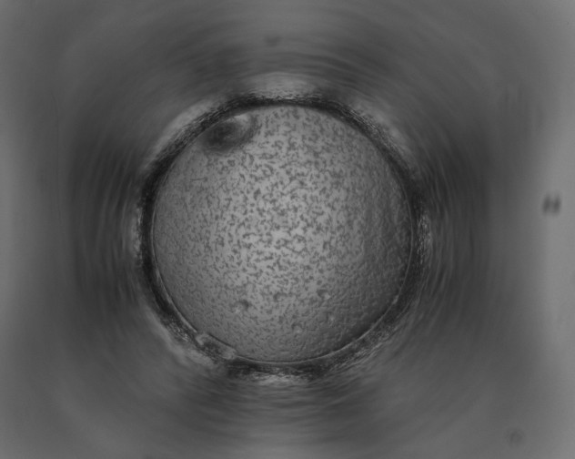 X0000090470400200708031309