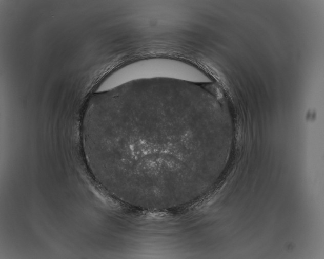 X0000090470401200708031309