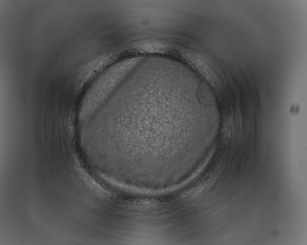 X0000090470402200708031309