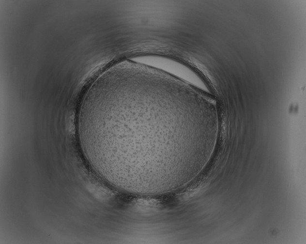 X0000090470403200708031309