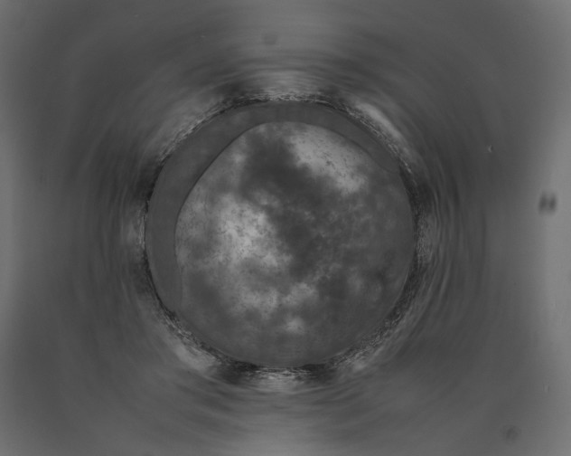 X0000090470405200708031309