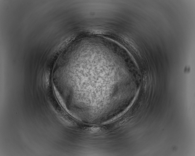 X0000090470406200708031309