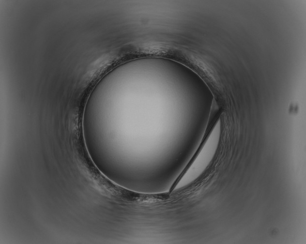 X0000090470407200708031309