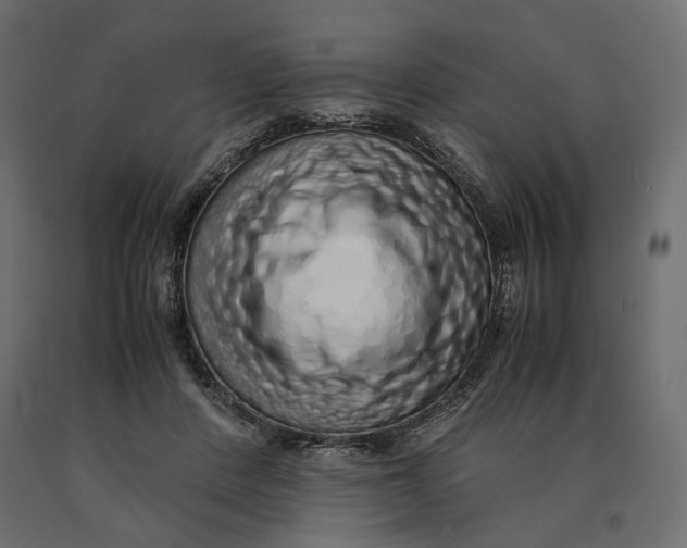 X0000090470408200708031309