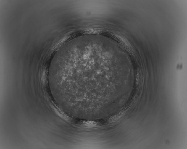 X0000090470409200708031309