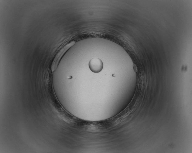 X0000090470412200708031309