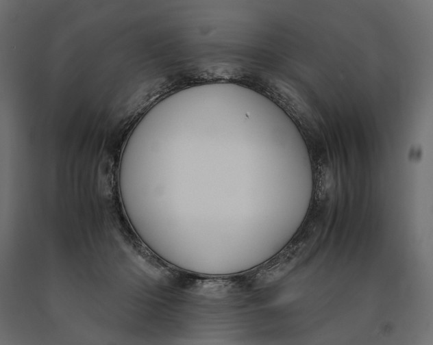 X0000090470414200708031309