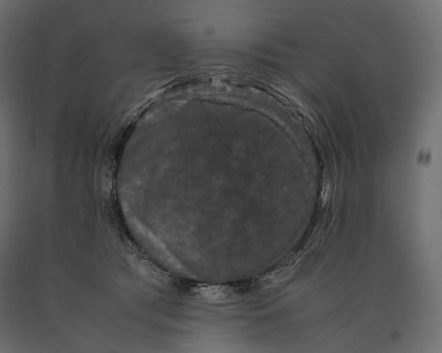 X0000090470417200708031309