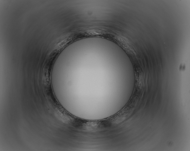 X0000090470418200708031309