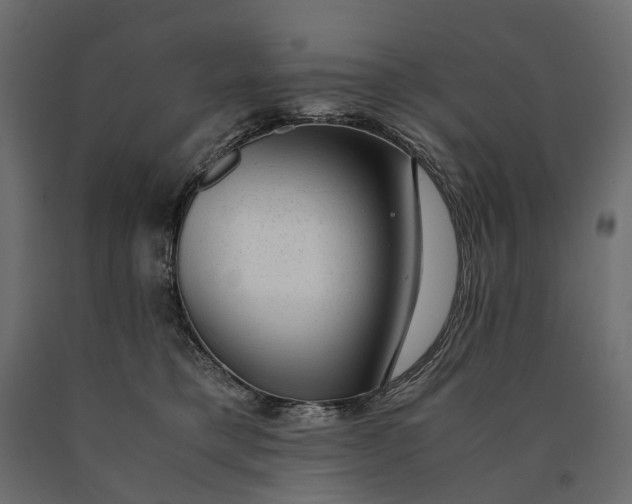 X0000090470421200708031309