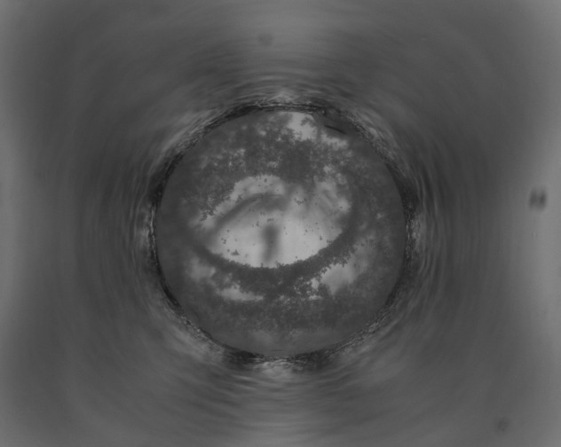 X0000090470423200708031309