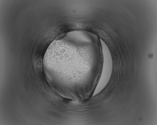 X0000090470425200708031309