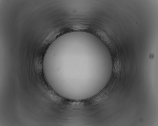 X0000090470426200708031309