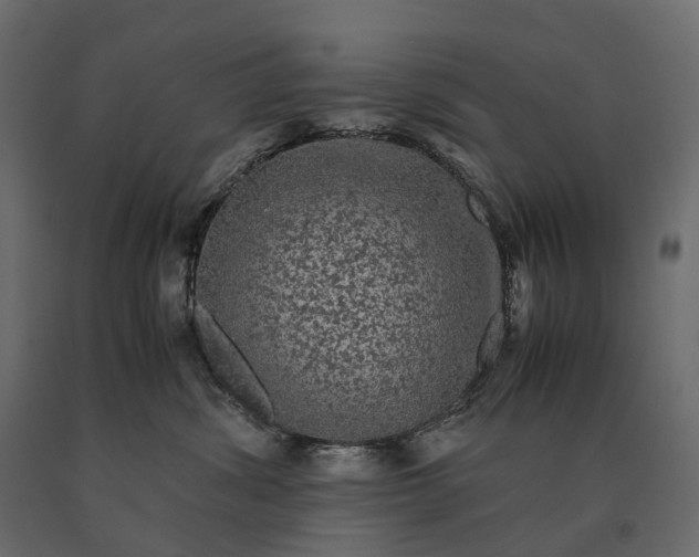 X0000090470428200708031309