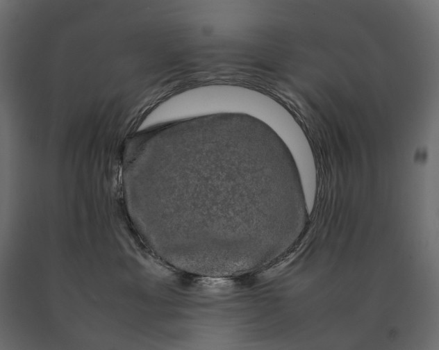 X0000090470429200708031309