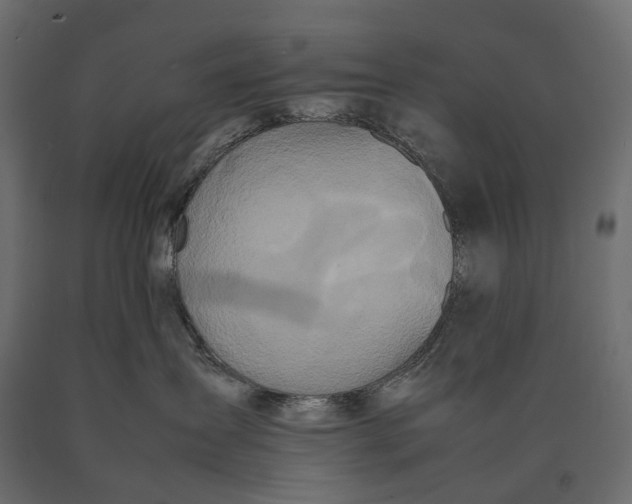 X0000090470431200708031309