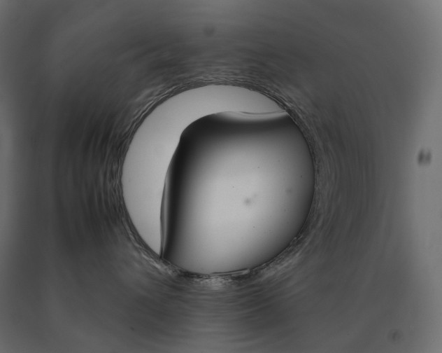 X0000090470432200708031309