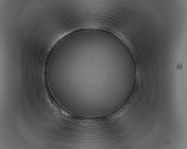 X0000090470434200708031308