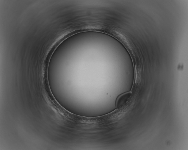 X0000090470435200708031308