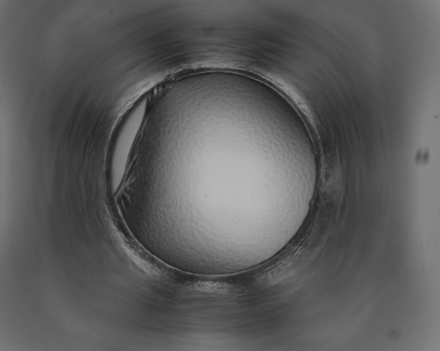 X0000090470437200708031308