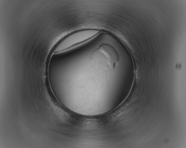 X0000090470438200708031308