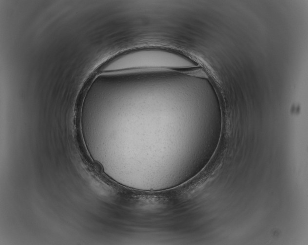 X0000090470439200708031308