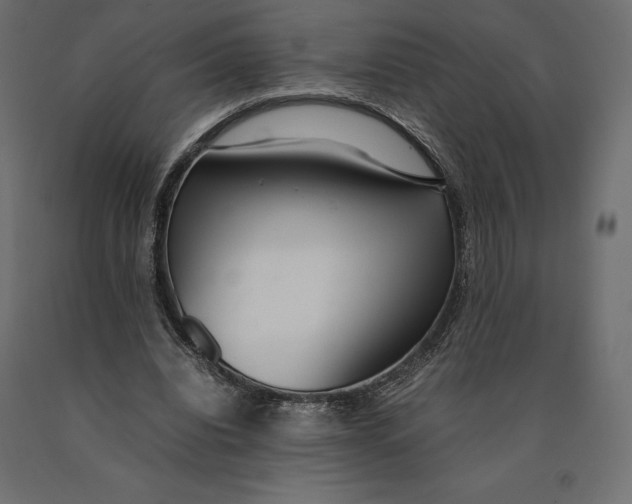 X0000090470440200708031308