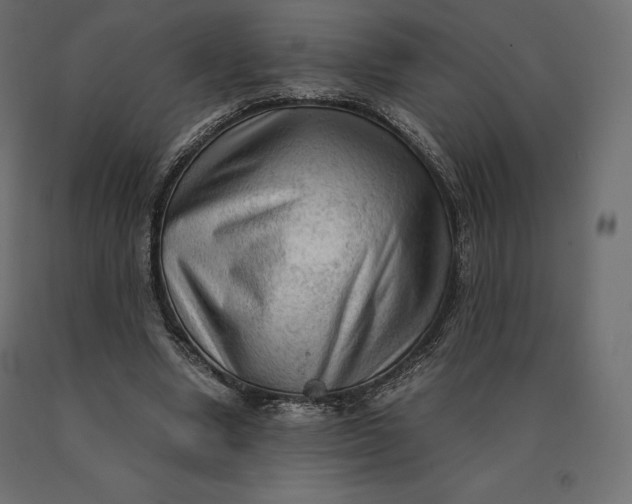 X0000090470442200708031308