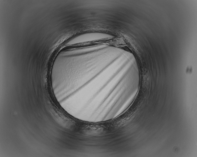 X0000090470443200708031309