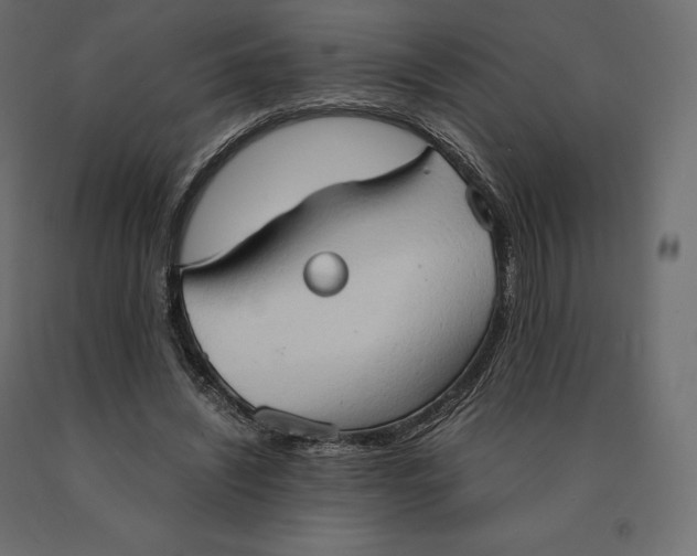 X0000090470444200708031309