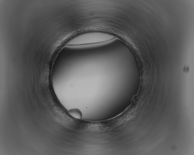 X0000090470446200708031309