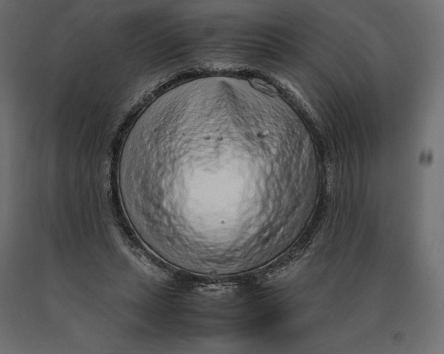 X0000090470447200708031309