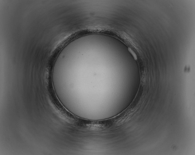 X0000090470448200708031309