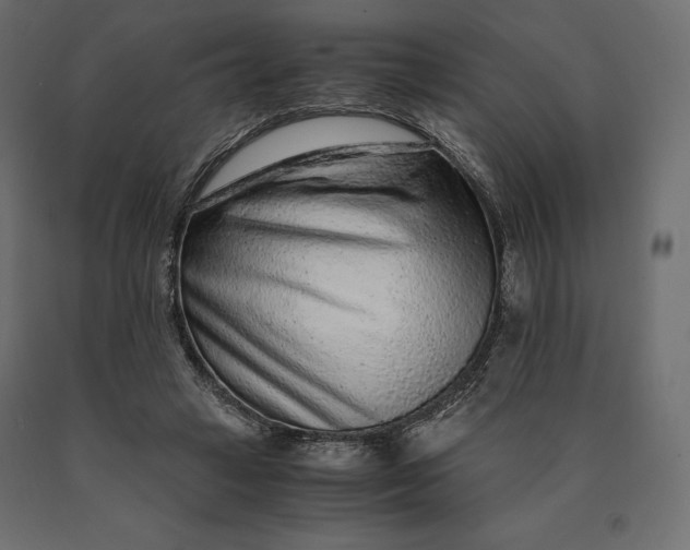 X0000090470449200708031309