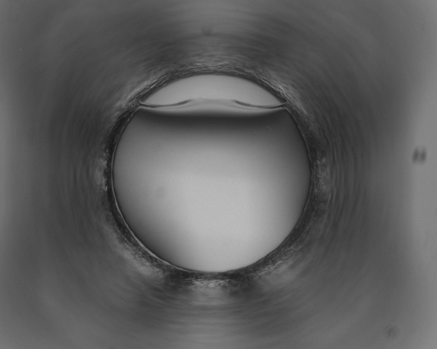 X0000090470450200708031309