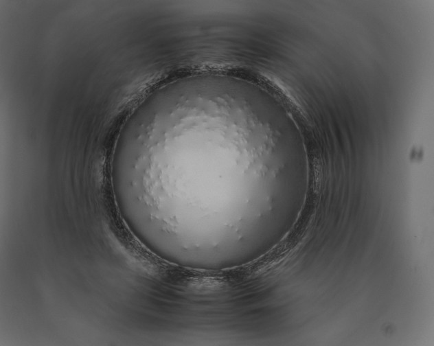 X0000090470451200708031309