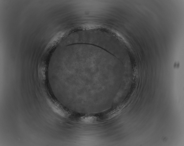 X0000090470452200708031309