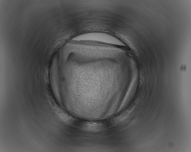 X0000090470453200708031309