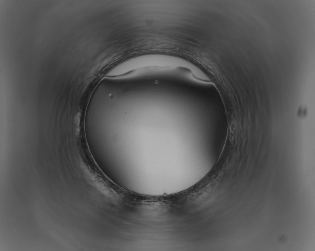 X0000090470454200708031309