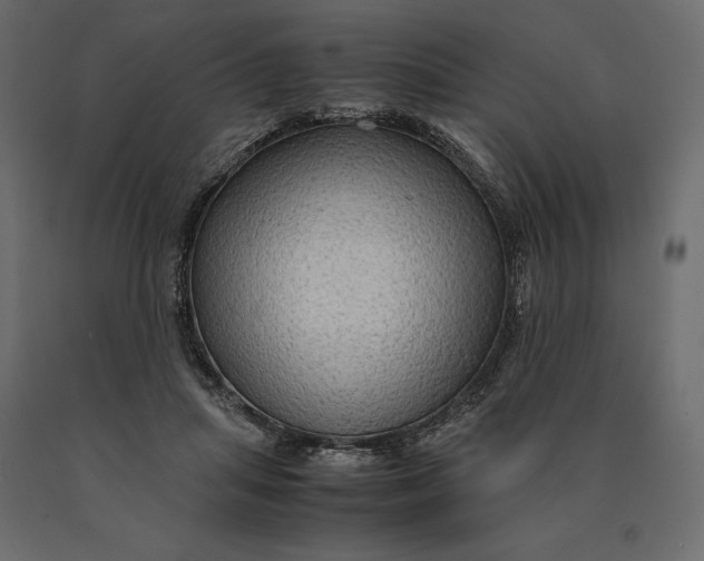 X0000090470455200708031309