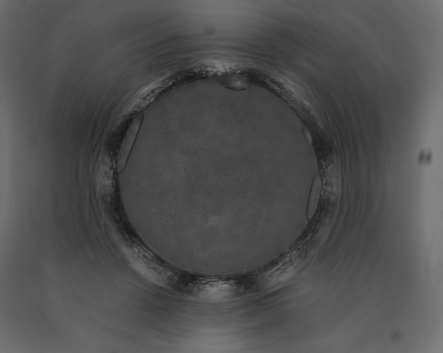 X0000090470456200708031309