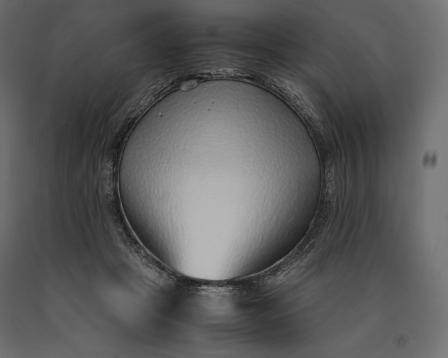 X0000090470457200708031309