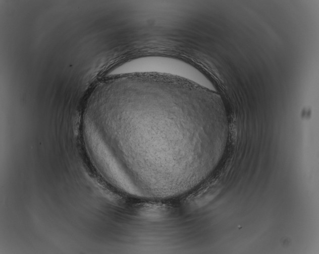 X0000090470458200708031309