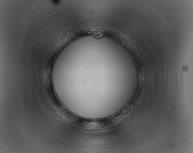 X0000090470460200708031309