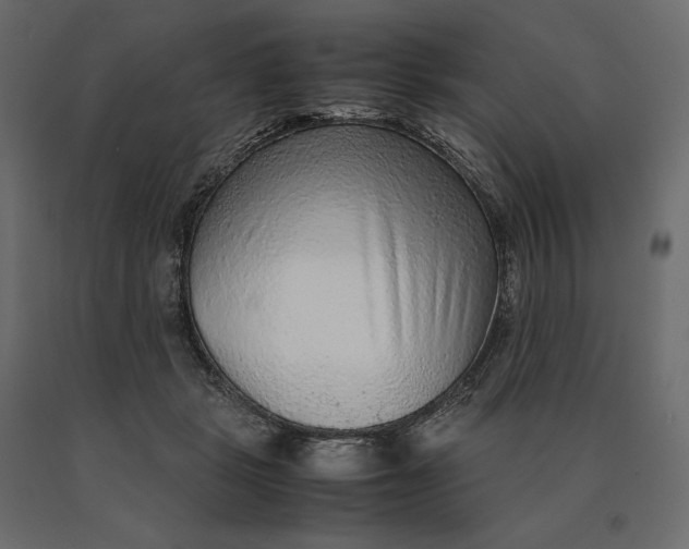 X0000090470461200708031309