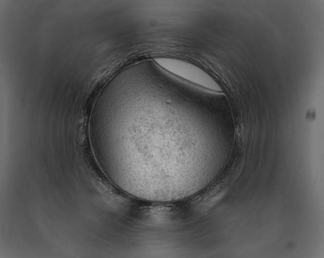 X0000090470462200708031309