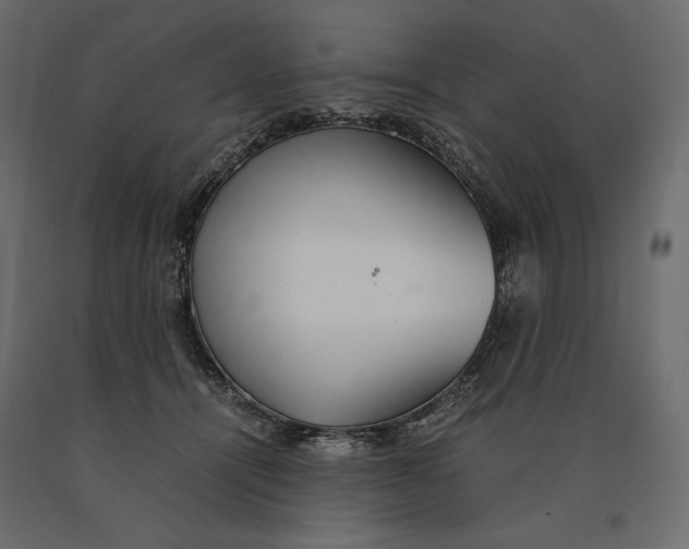 X0000090470464200708031309