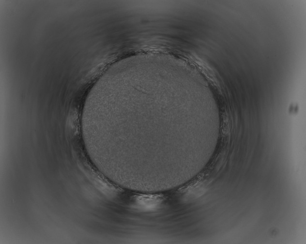 X0000090470465200708031309