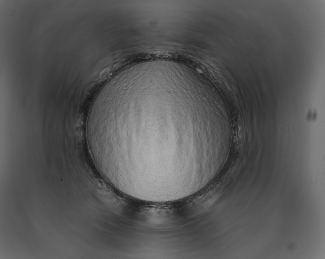 X0000090470466200708031309