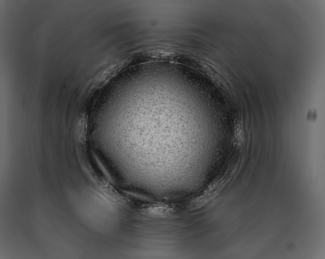 X0000090470468200708031309